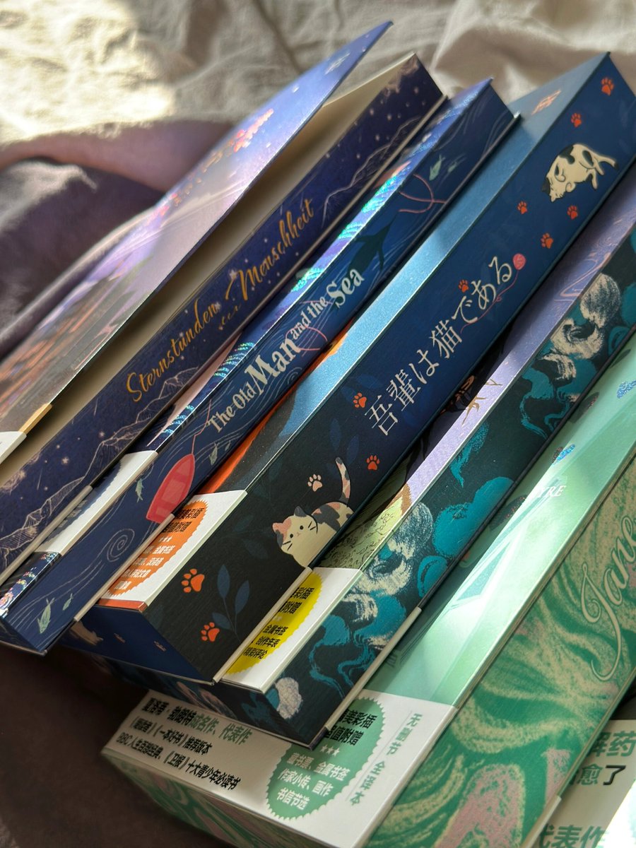 @waseemwarsichattk tweet media