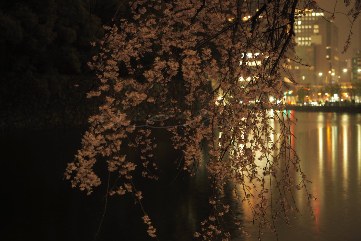 veri /べり tweet media