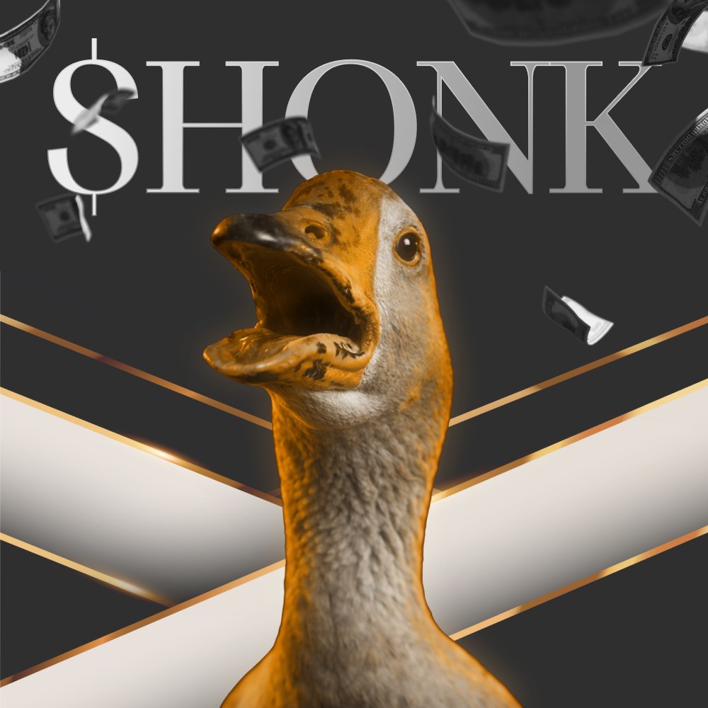 Goose Honk tweet media