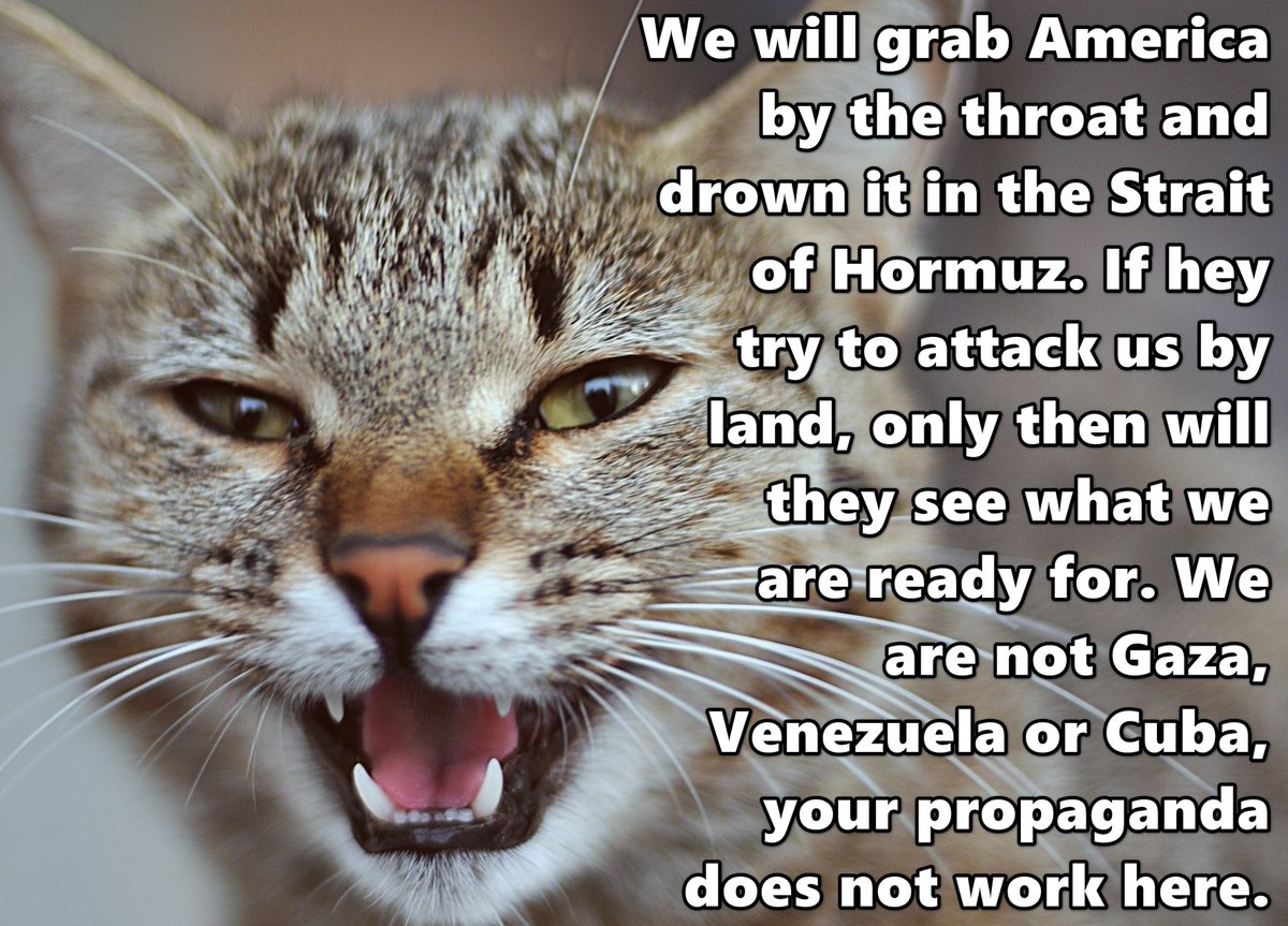 MartinPrejety tweet media