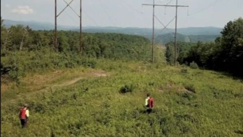 Utility Arborist Association tweet media