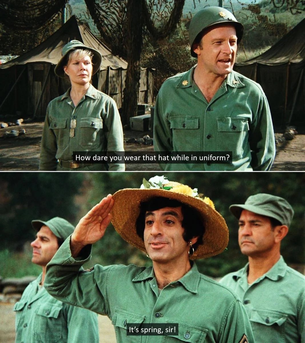 carrie bradshaw apologist tweet media