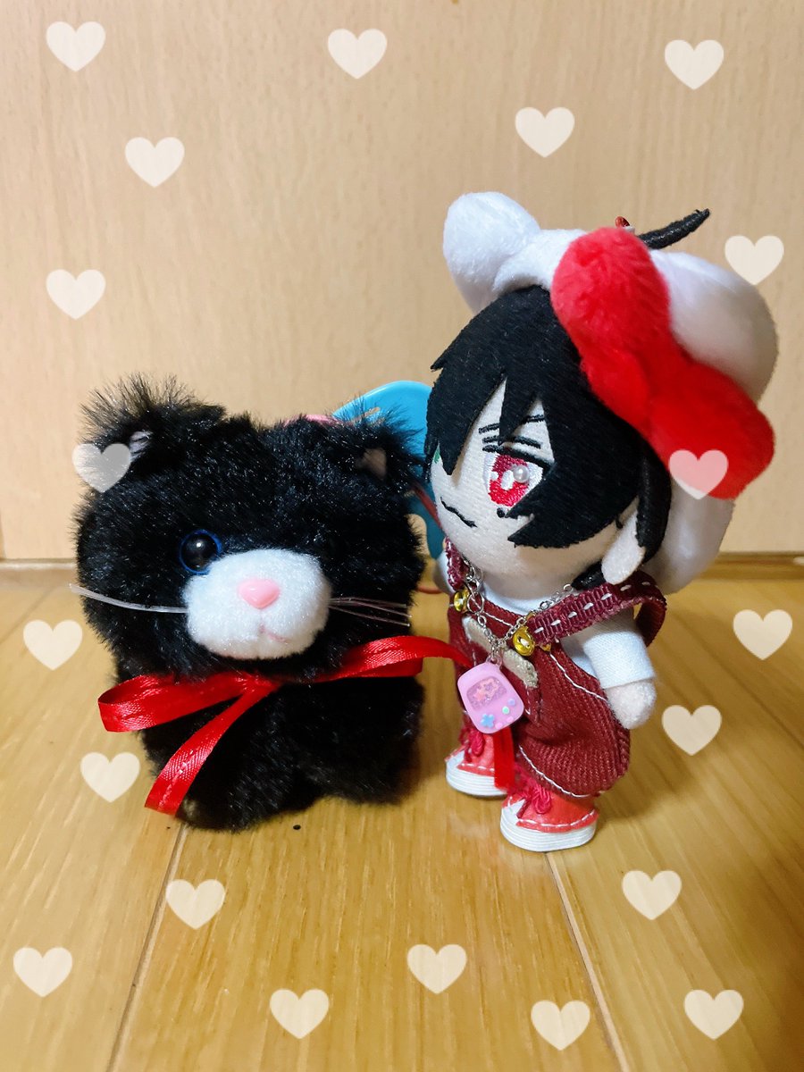 ❤️🦉あめり🦉❤️ tweet media