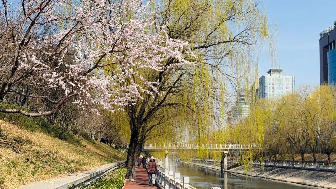 Karol Ch tweet media