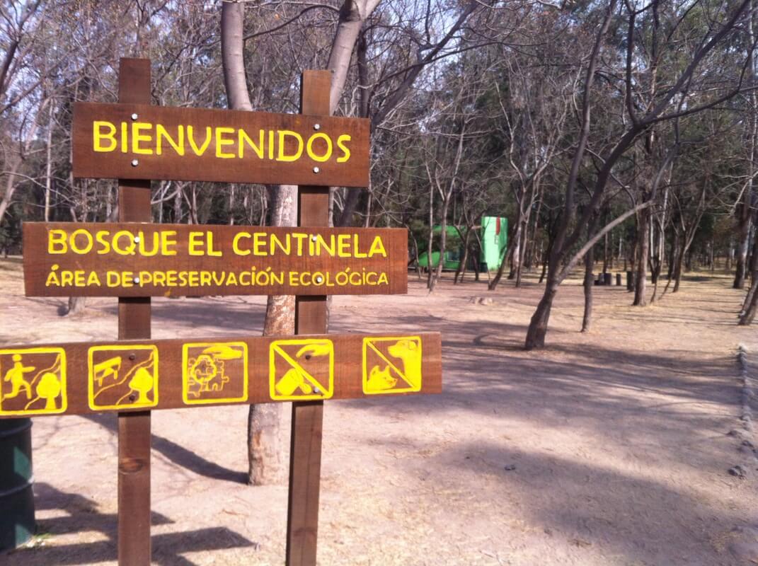 Líder Informativo tweet media