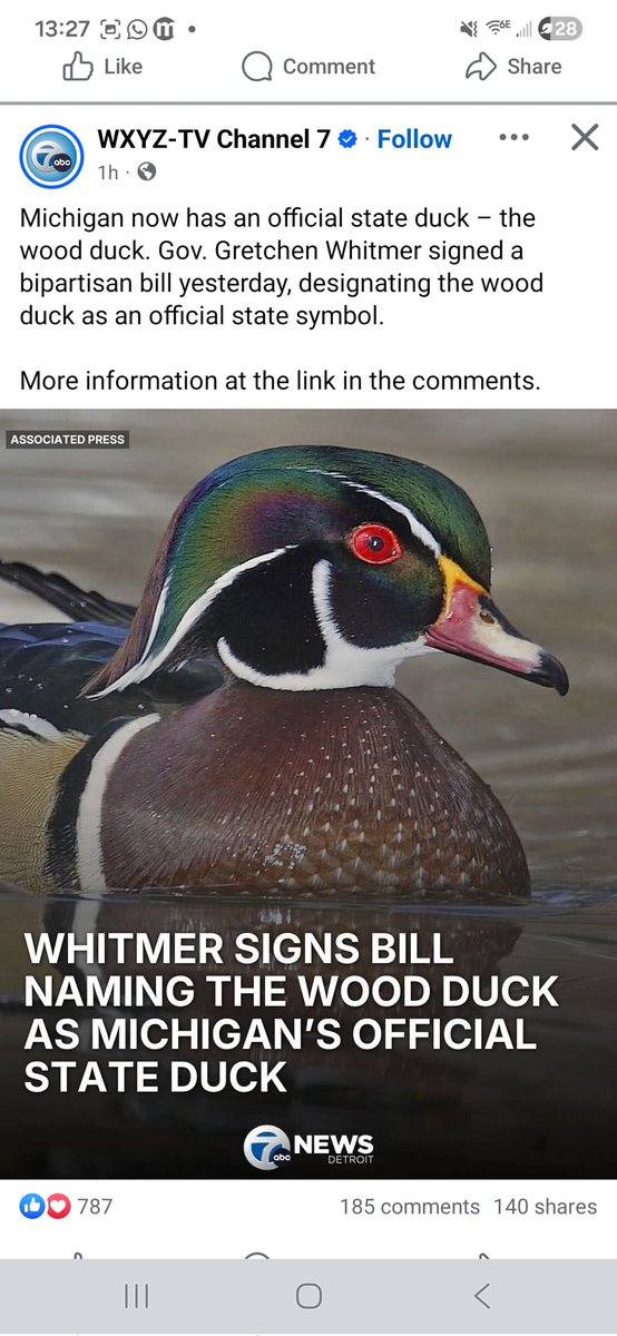 DaMoonRulz tweet media