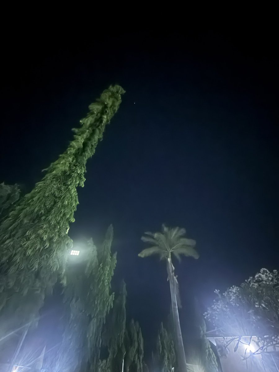 Lets Win Together 🏆🙏🏼 tweet media