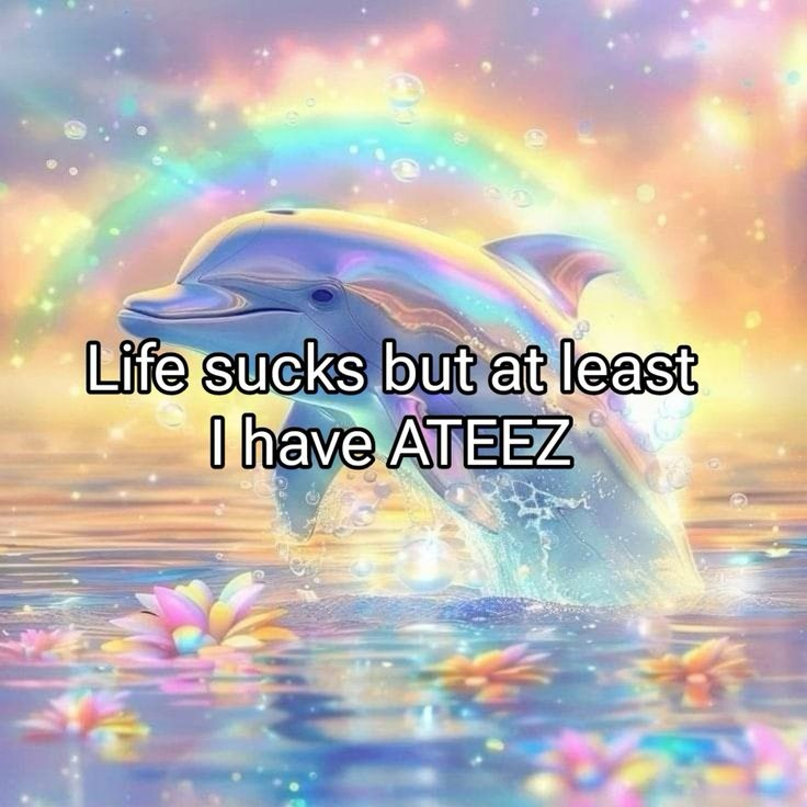 🇵🇸 𝕞𝕚𝕥𝕠 tweet media