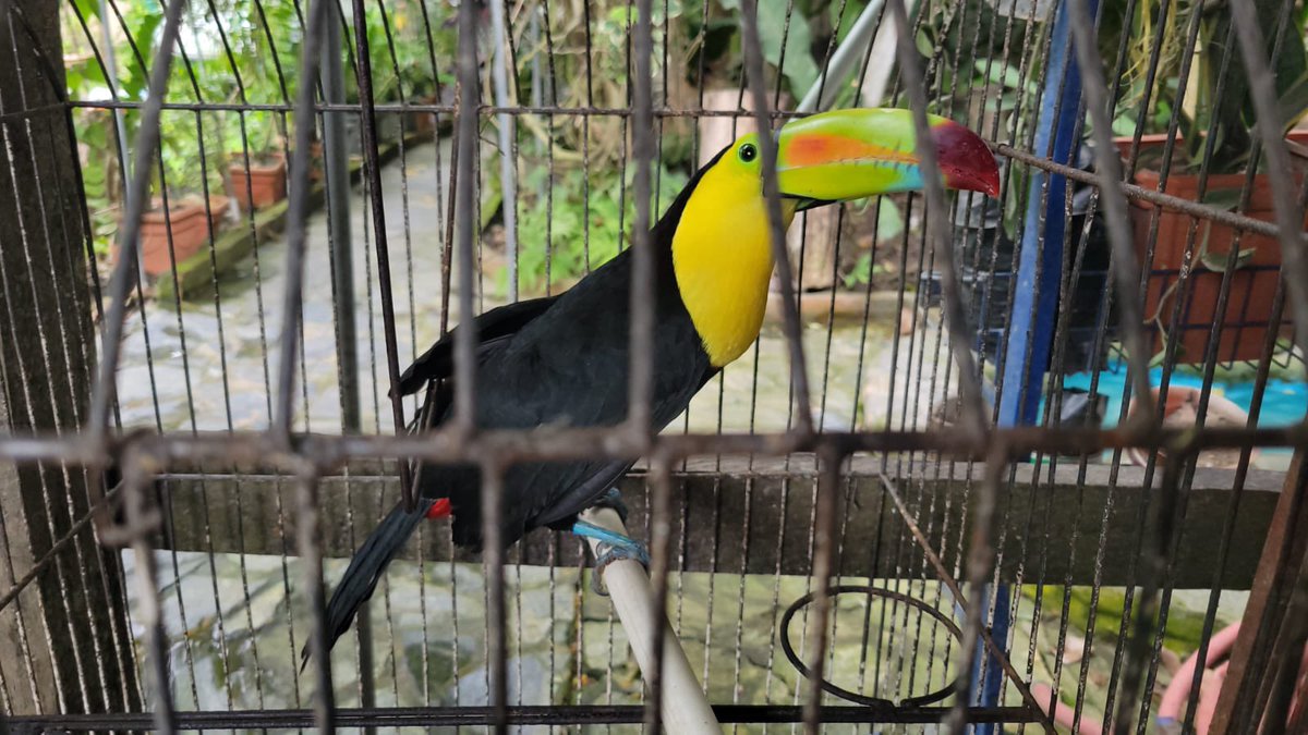 Más Noticias Televisión HN tweet media