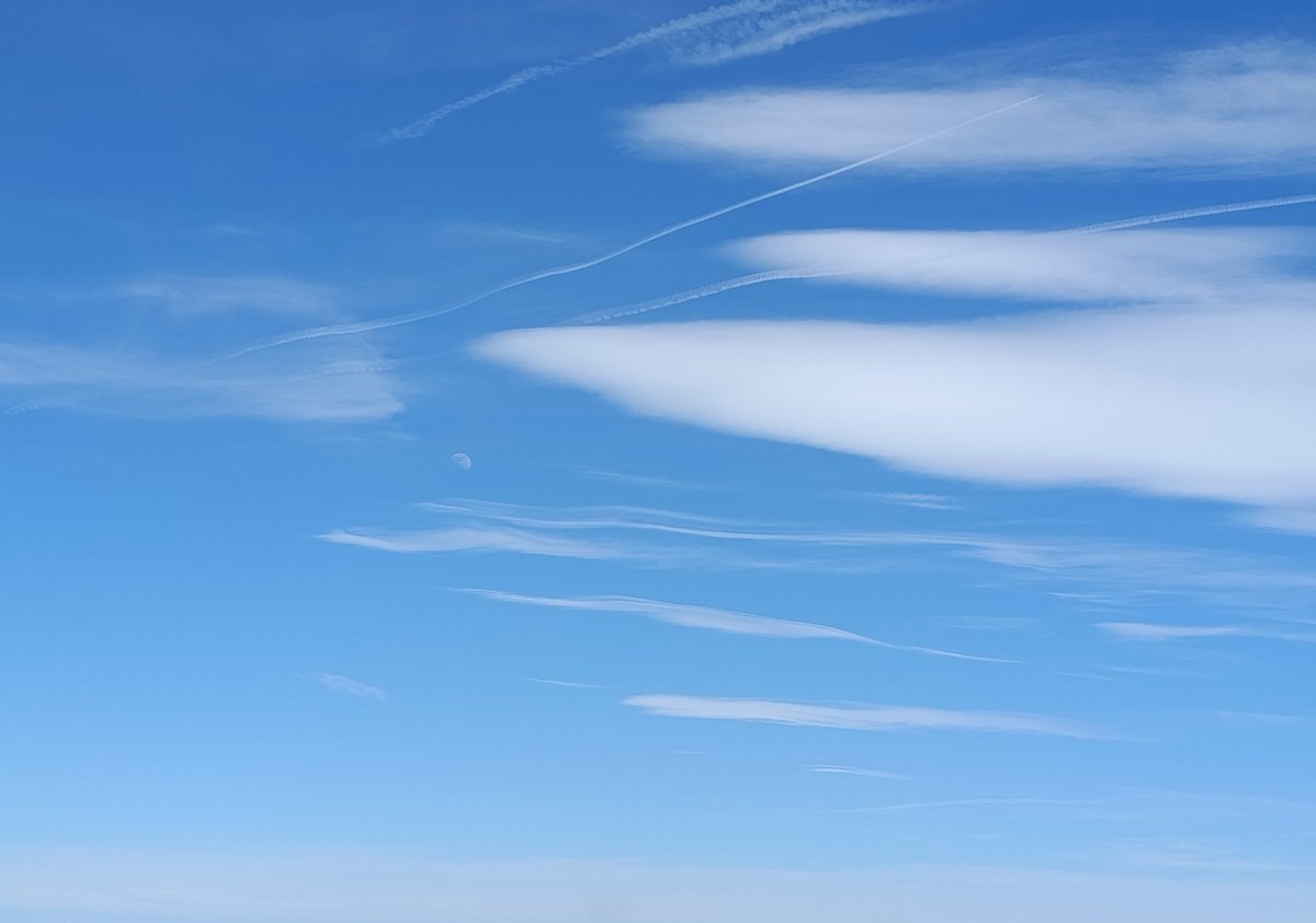 Isaac🌾 tweet media