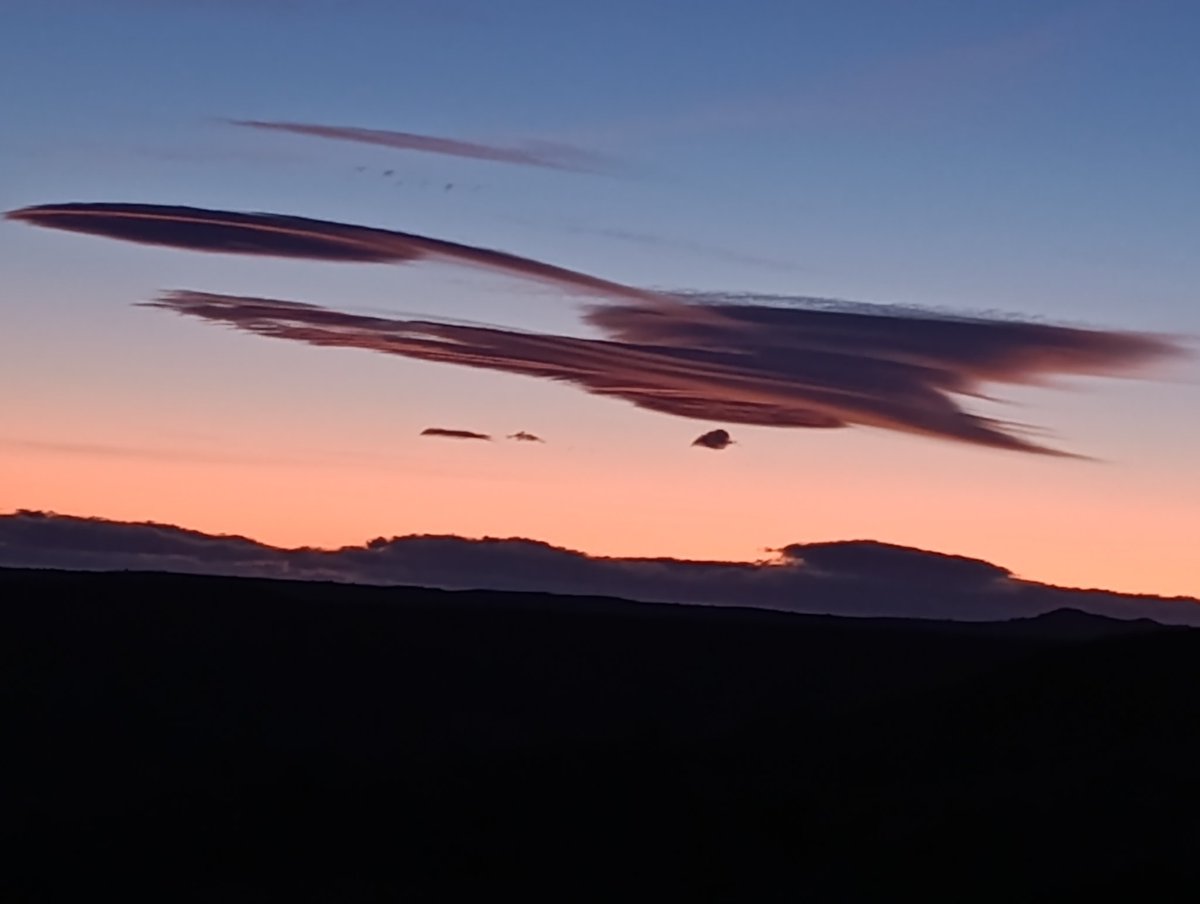 Isaac🌾 tweet media