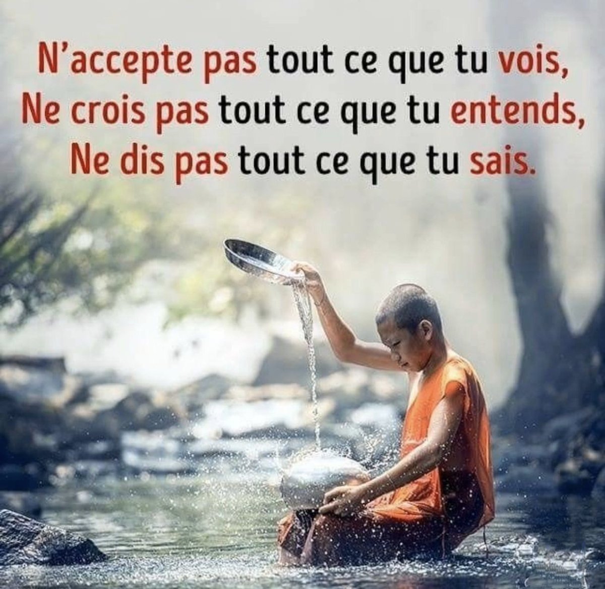Sagesse Pure tweet media