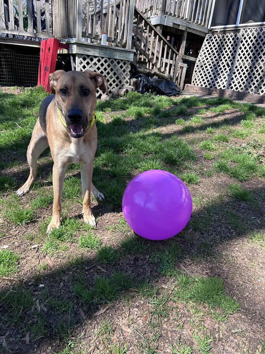 Cosmic Comfort 📡🛰️ tweet media