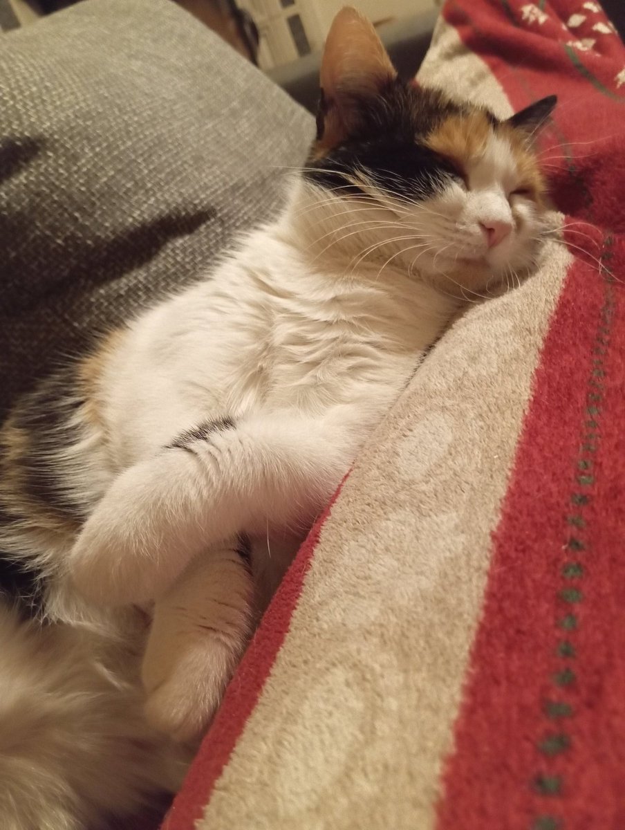 Klar Name tweet media