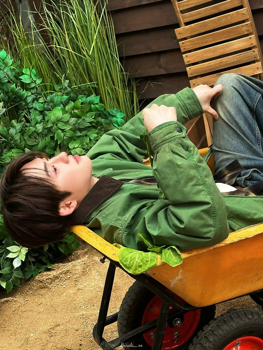 Burala💤 tweet media