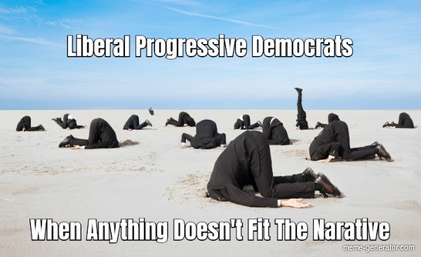 Vash T.S. tweet media