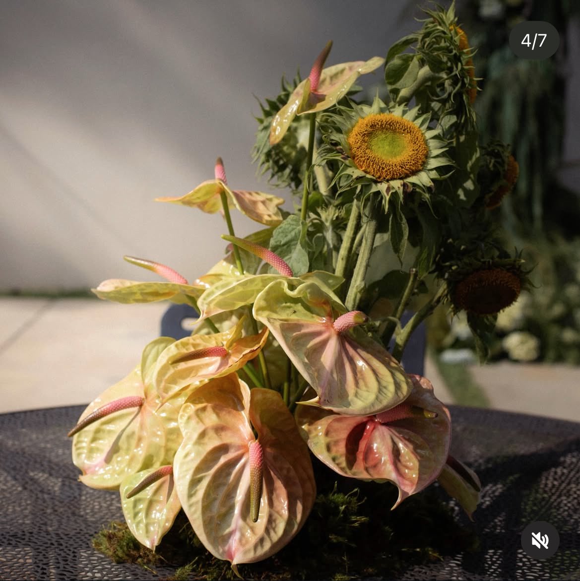 nymphomaniac tweet media