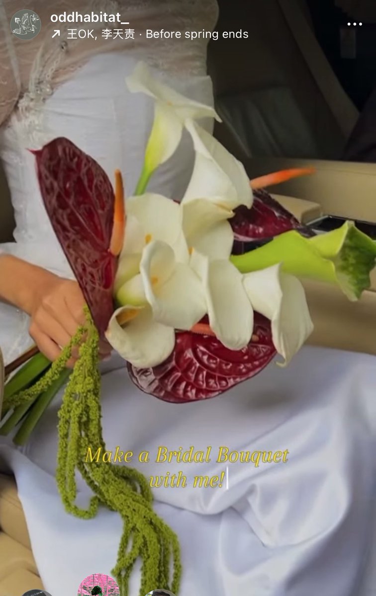 nymphomaniac tweet media