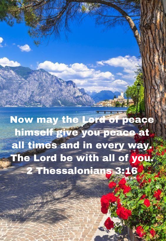 Catherine ♡ =^..^= tweet media