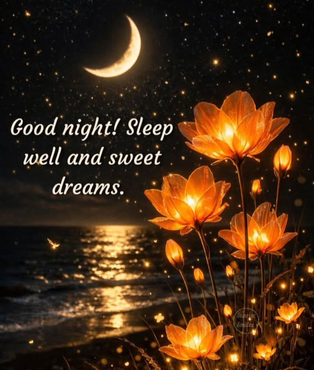 Mark Morgan tweet media