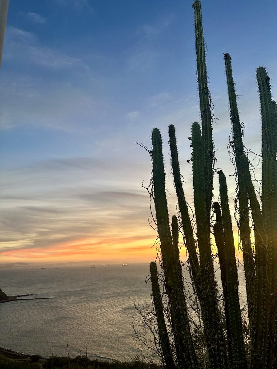 Margaret 🏩 tweet media