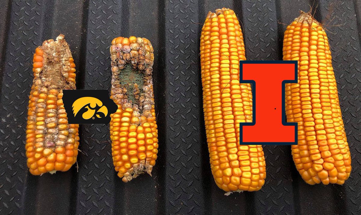 Mr. Goodwrench, #13 Illini fan tweet media