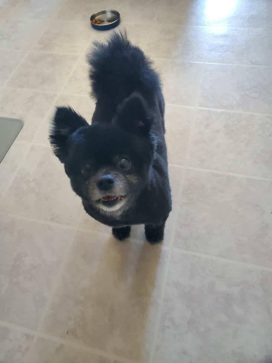 yun *ೃ༄ tweet media