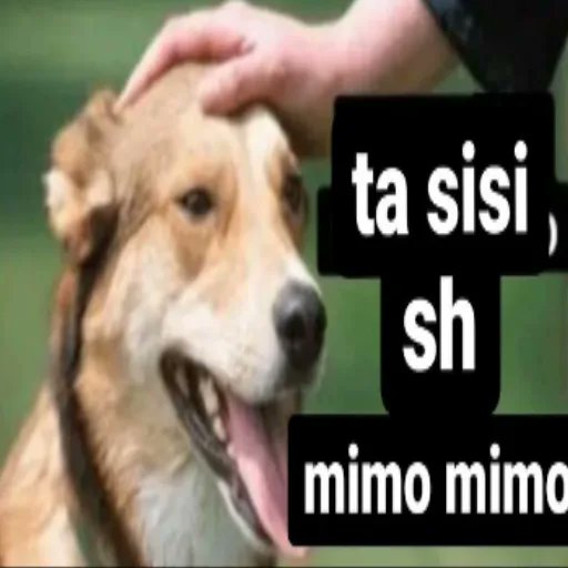 La sal no sala 🌱 tweet media