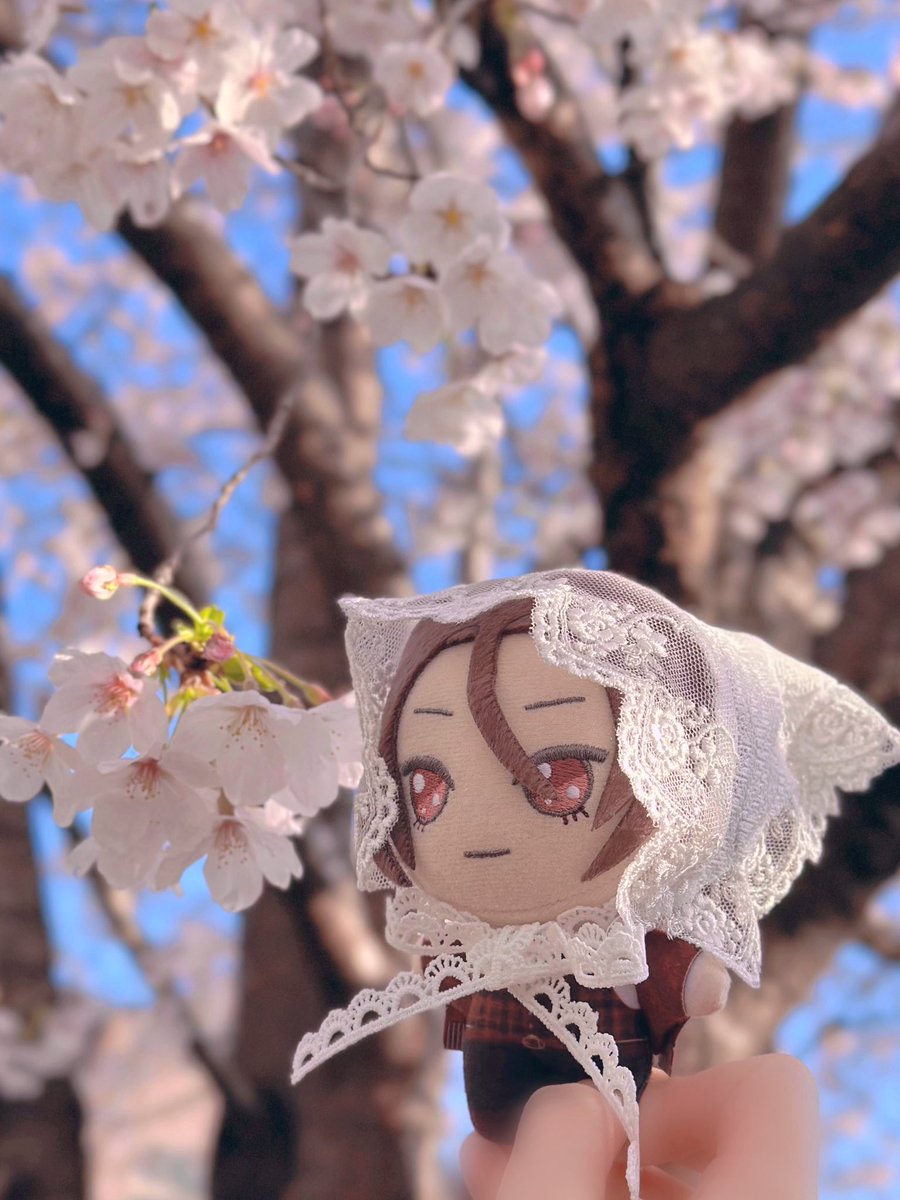 𝒩𝓊𝒾 𝓃ℴ 𝓈ℴ𝓃ℴ tweet media