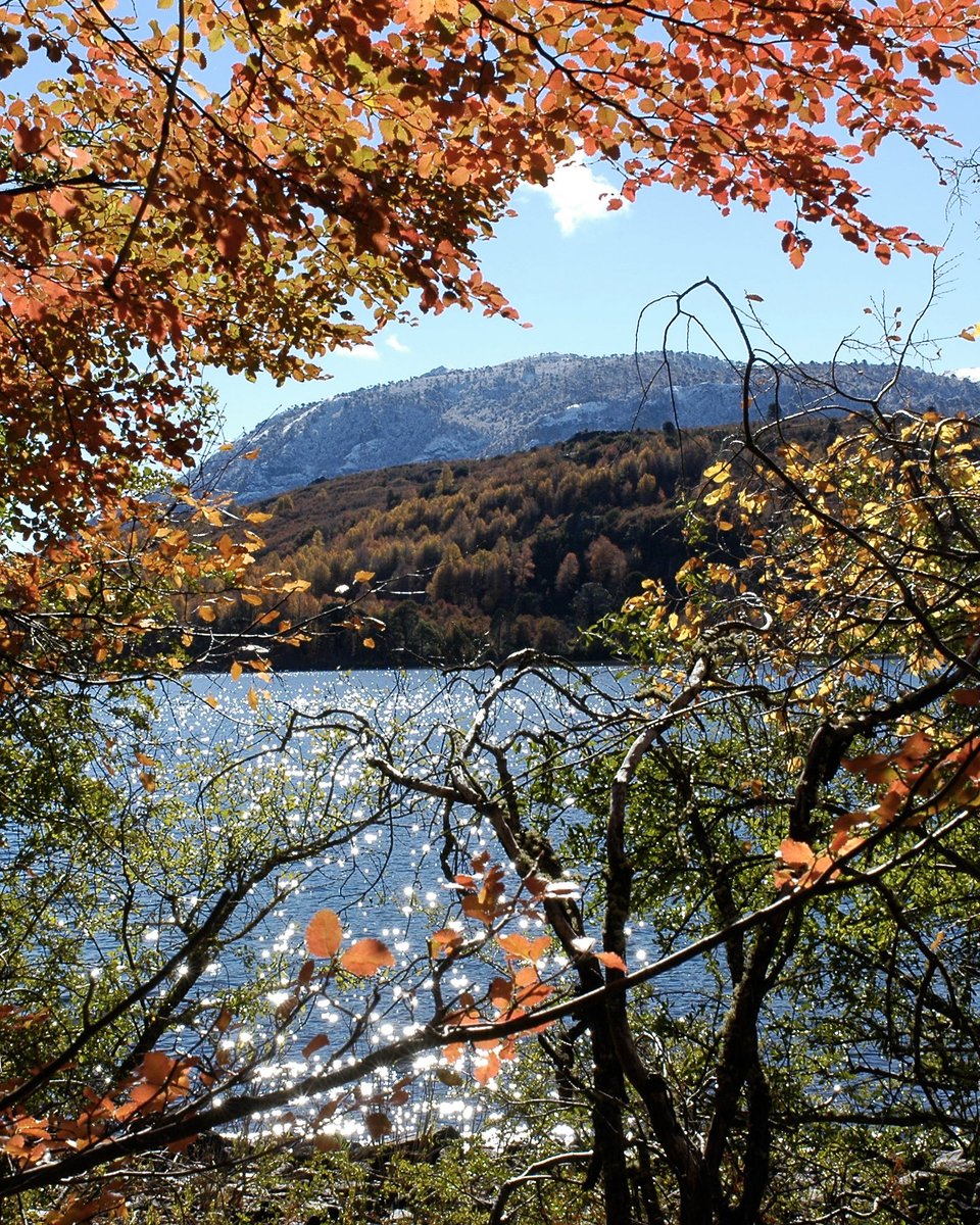 Parques Nacionales Argentina tweet media