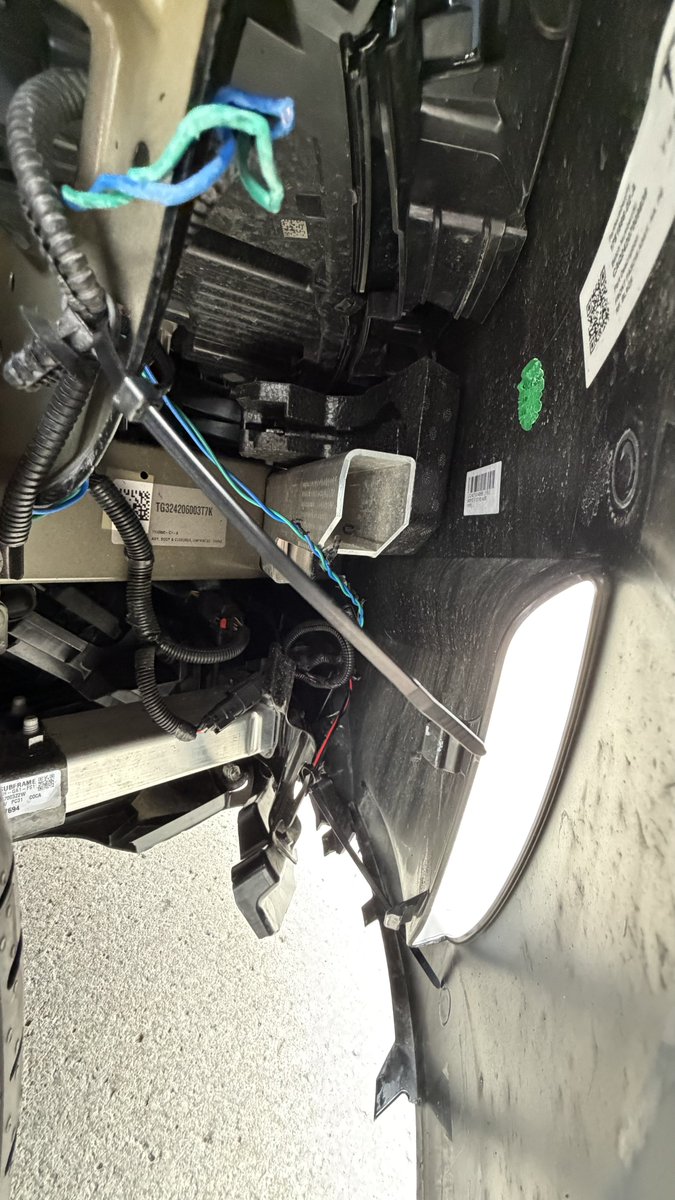 Nic Cruz Patane tweet media