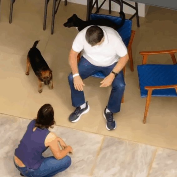 Chequei Ancap tweet media