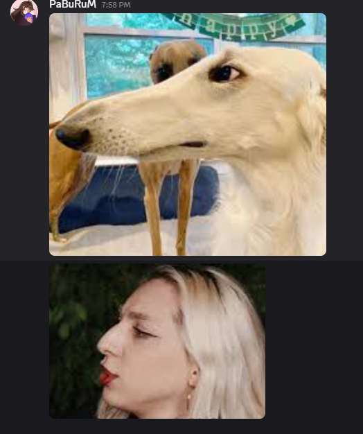 PaBuRuM 🐱 tweet media