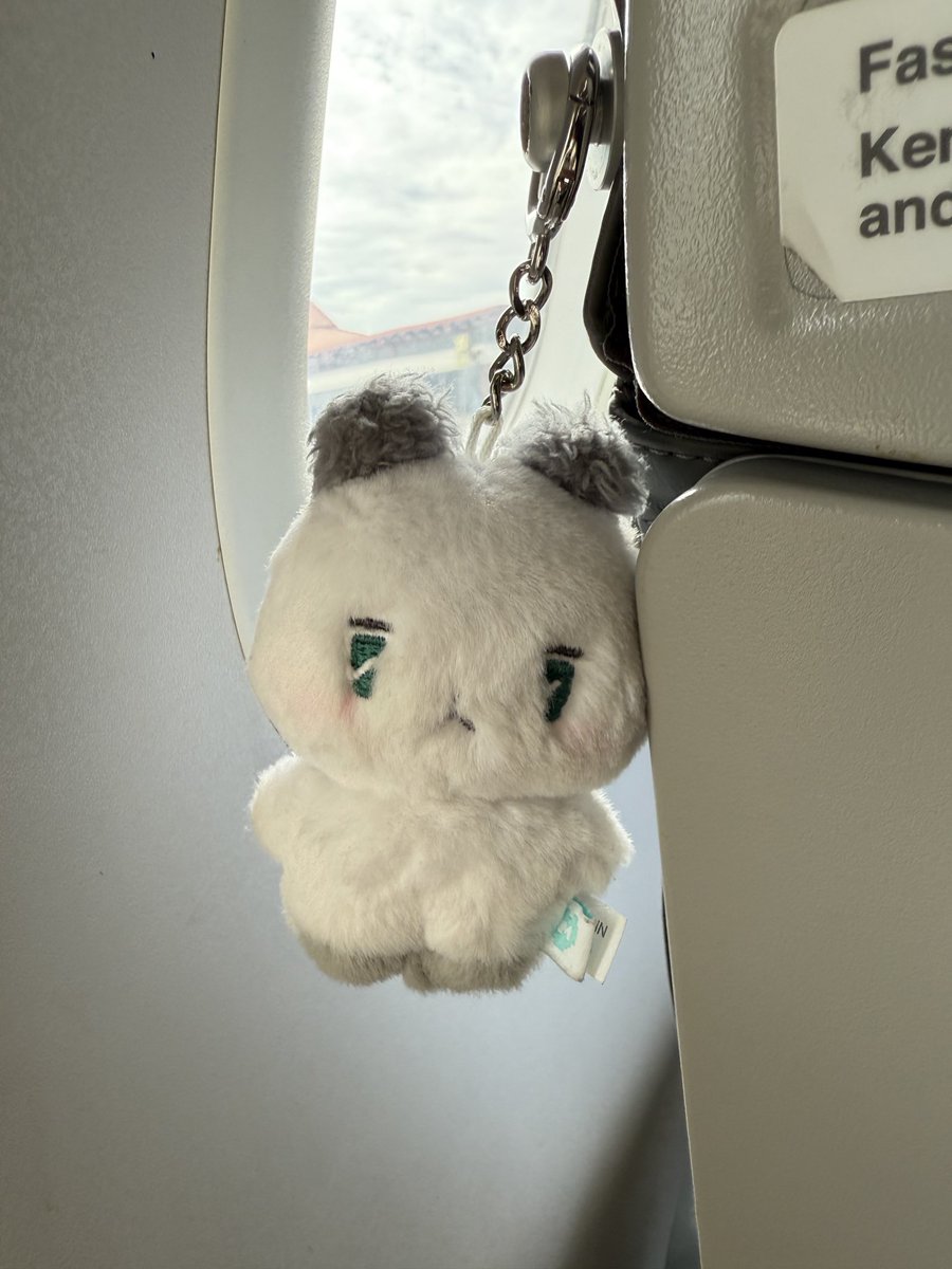 kiwi! 🐾 tweet media