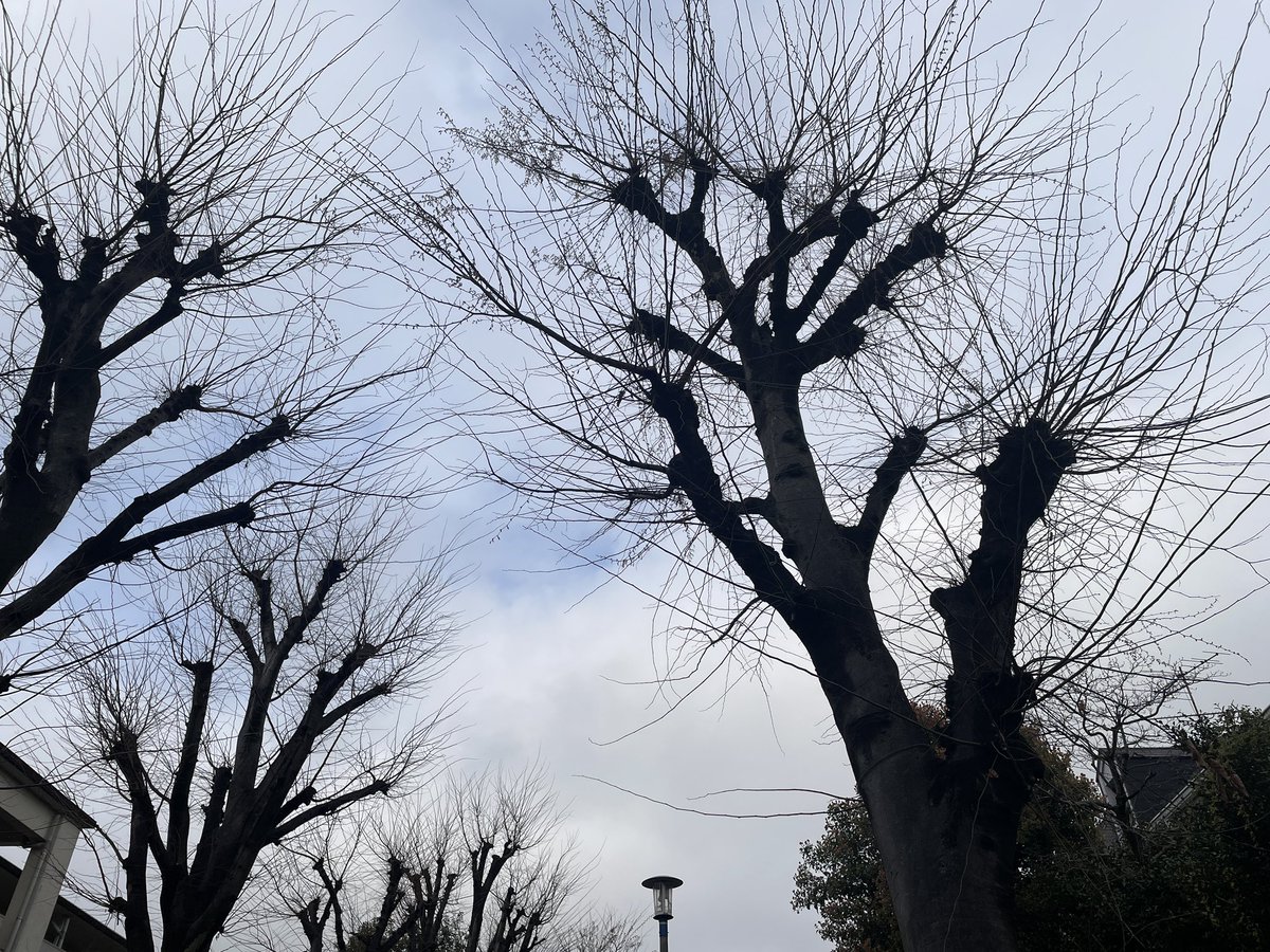 武内享 tweet media