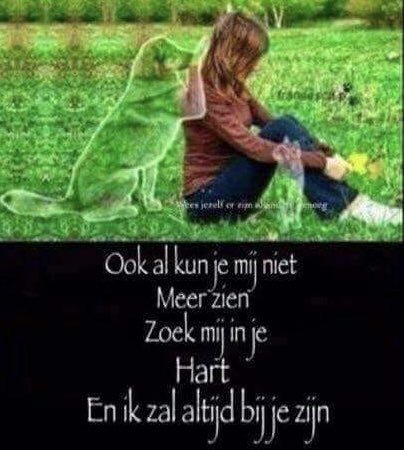 Pebbles_wrote's tweet photo. @ElsvanBruggen ❤️ https://t.co/zaHHue84P2