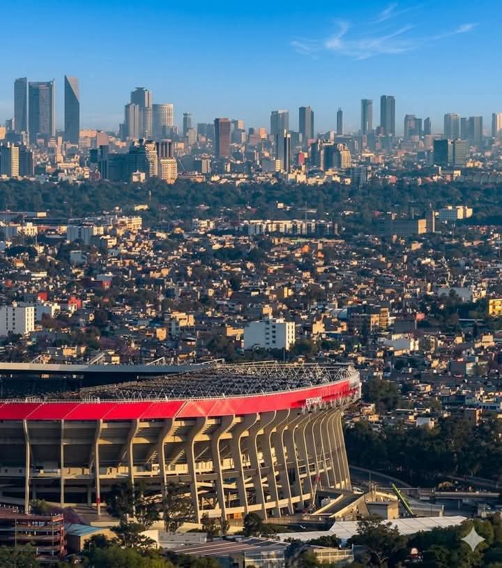 「 F 」🐦⬛ tweet media