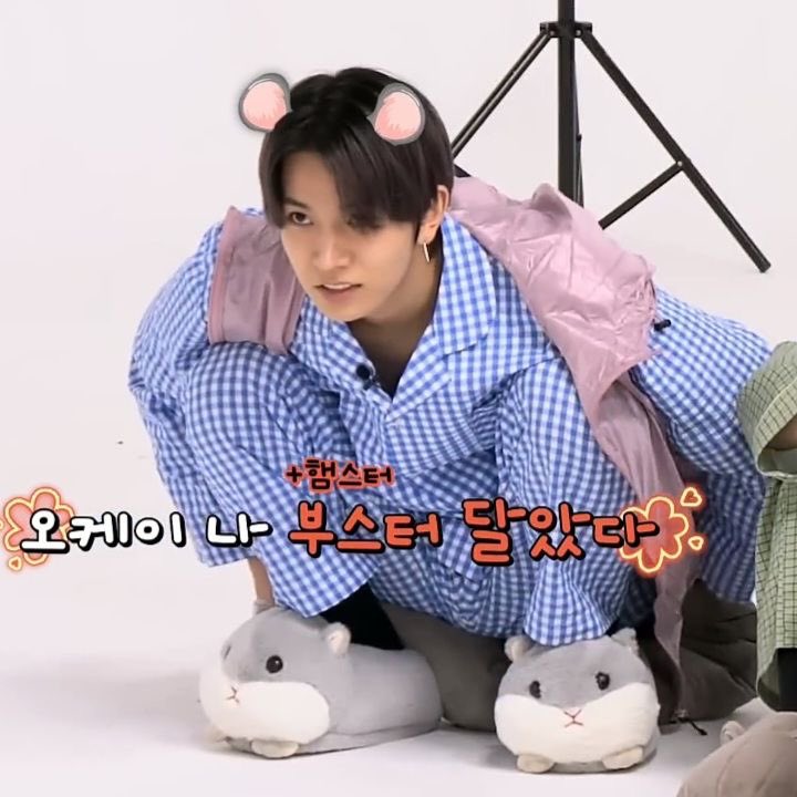 tofii | Enhypen is 7 tweet media