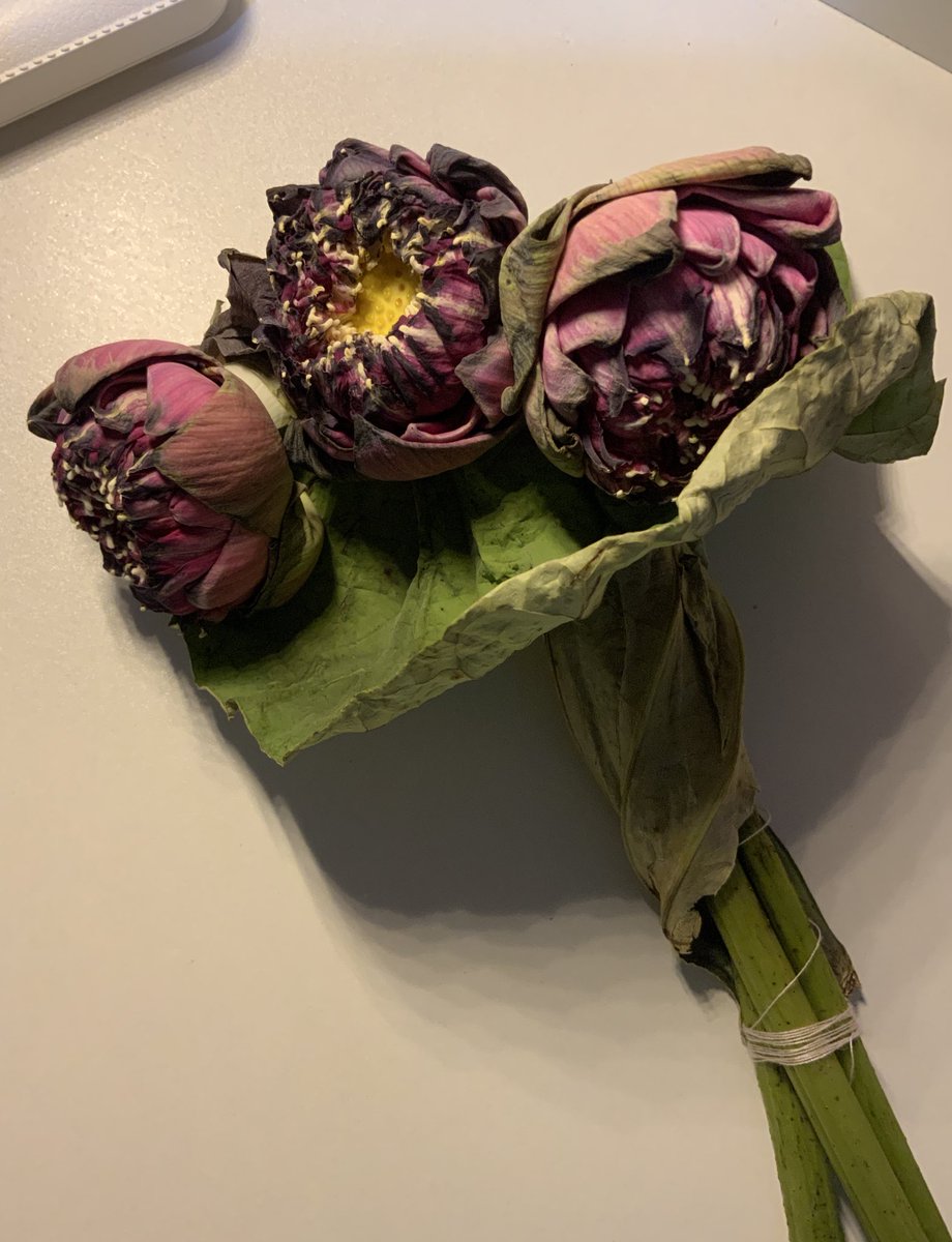 ラヴィー tweet media