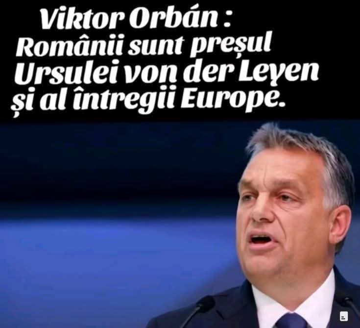 Vlad Popescu tweet media