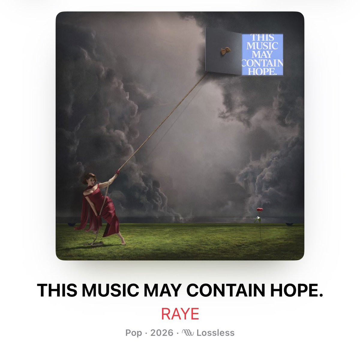 Diego Andres Tejeda tweet media