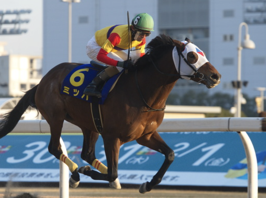 『奇跡の名馬』著者【海猫】兼目和明 〜世界名馬研究・馬民俗学研究家の記録譚〜 tweet media