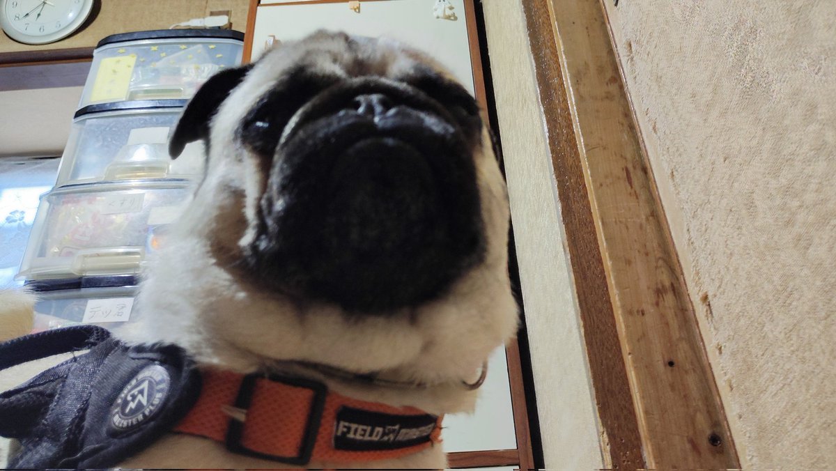 いんでぃ tweet media