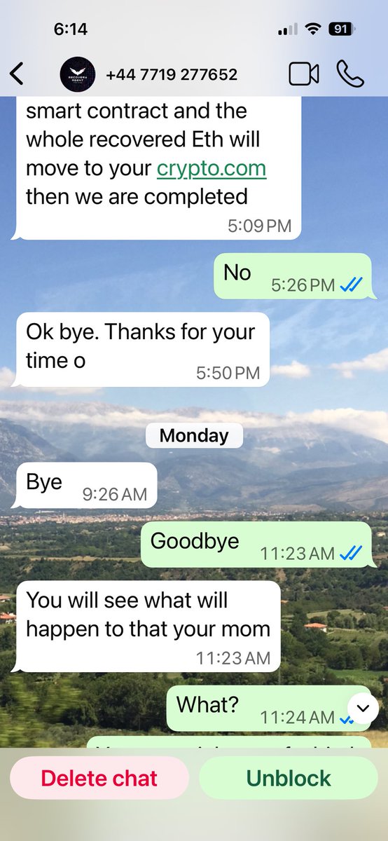 Grace Messina tweet media