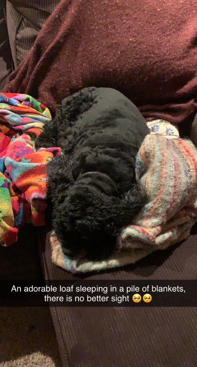 LuminusRed ✂️🍒 tweet media