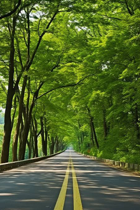 عبدالعزيز بن عبدالله المحسن tweet media