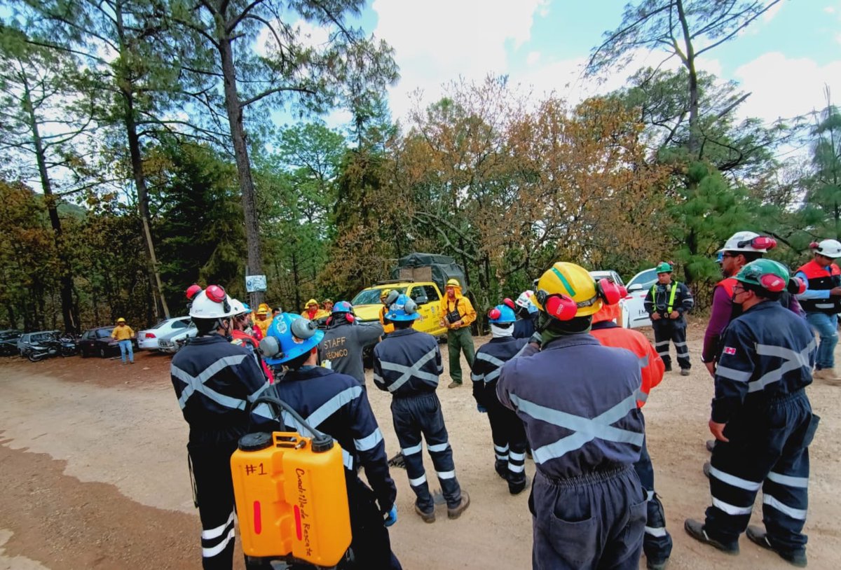 PROBOSQUE tweet media