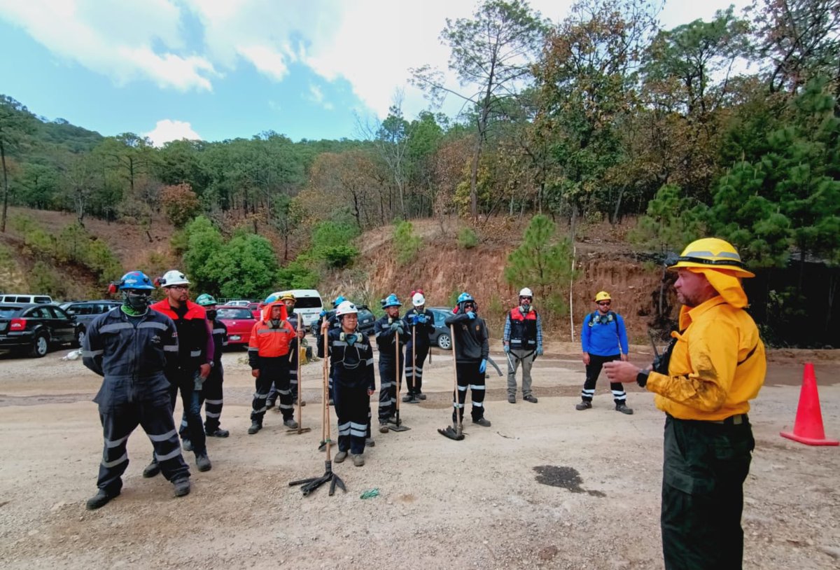 PROBOSQUE tweet media