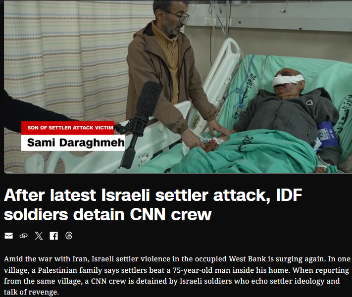 ⏳Towhee 🌏☮️ tweet media