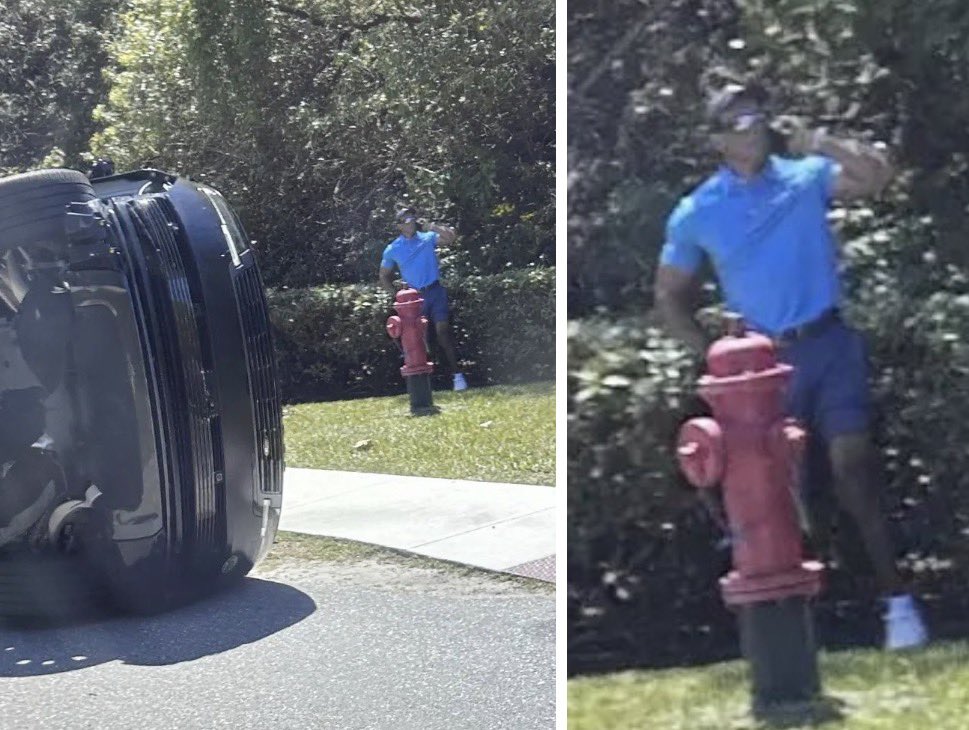 Tyler Tamboline tweet media